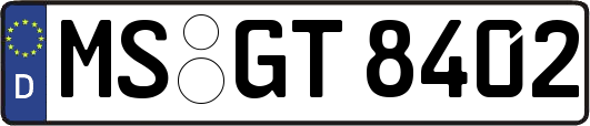 MS-GT8402