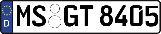MS-GT8405