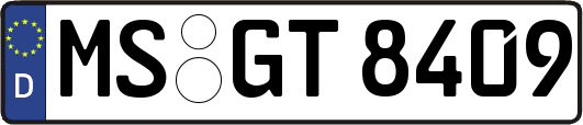 MS-GT8409