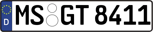 MS-GT8411