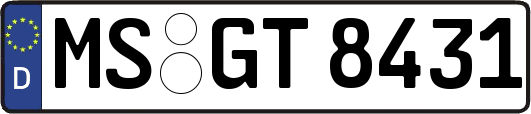 MS-GT8431