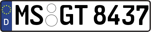 MS-GT8437