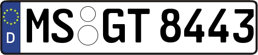 MS-GT8443