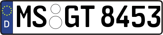 MS-GT8453