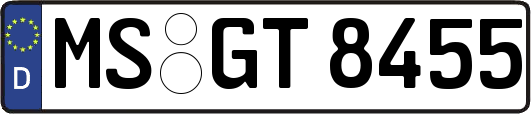 MS-GT8455
