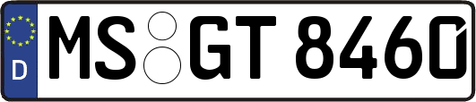 MS-GT8460