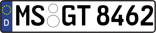 MS-GT8462