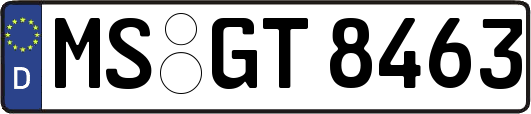 MS-GT8463