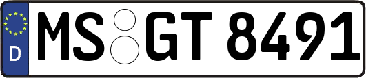 MS-GT8491