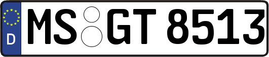 MS-GT8513