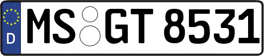MS-GT8531