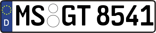MS-GT8541