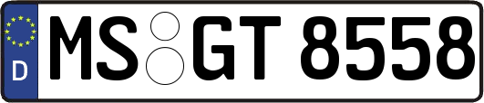 MS-GT8558