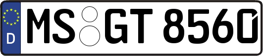 MS-GT8560