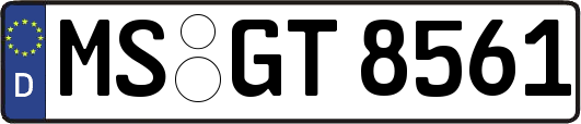 MS-GT8561