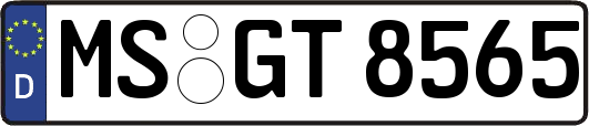 MS-GT8565