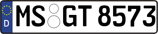 MS-GT8573