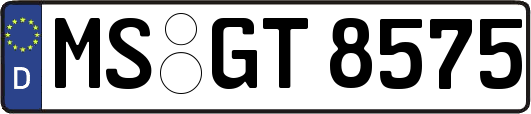 MS-GT8575