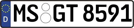 MS-GT8591
