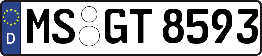 MS-GT8593