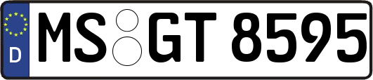 MS-GT8595