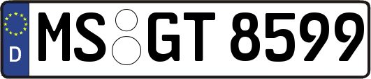 MS-GT8599