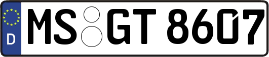 MS-GT8607