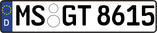 MS-GT8615