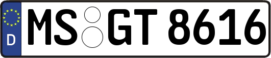 MS-GT8616