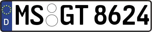 MS-GT8624