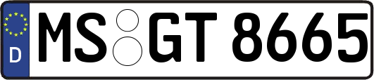 MS-GT8665