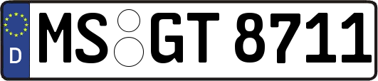 MS-GT8711