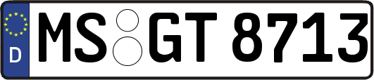 MS-GT8713