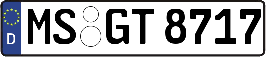 MS-GT8717