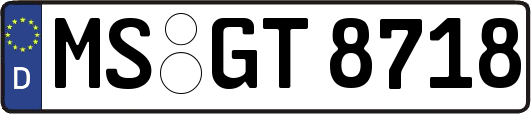 MS-GT8718