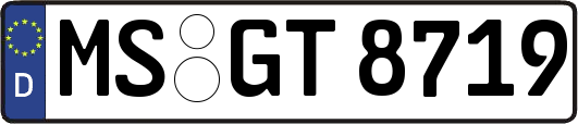 MS-GT8719