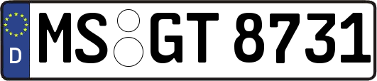 MS-GT8731