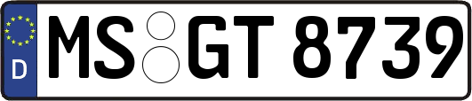MS-GT8739