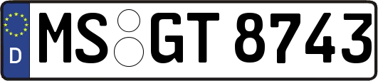 MS-GT8743