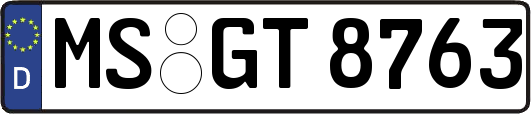 MS-GT8763
