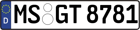 MS-GT8781