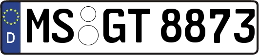 MS-GT8873