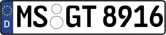 MS-GT8916
