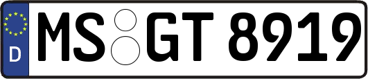 MS-GT8919