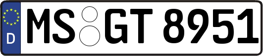 MS-GT8951