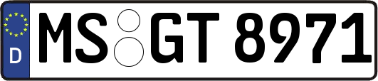 MS-GT8971