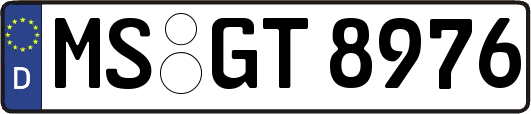 MS-GT8976