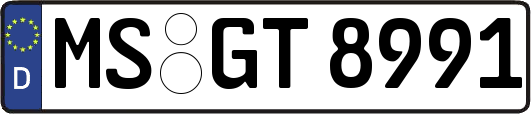 MS-GT8991