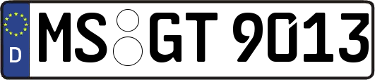 MS-GT9013