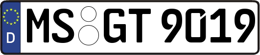 MS-GT9019